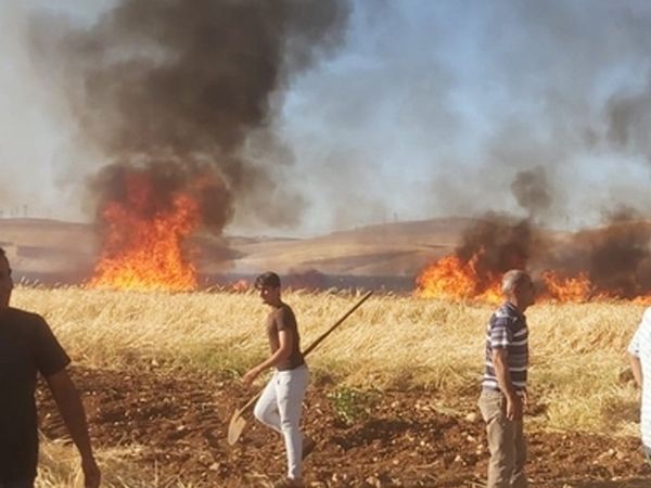 Adıyaman’da Birçok Noktada Yangın Çıktı: Vatandaşlar Dumandan Zehirlenerek Hastaneye Kaldırıldı!
