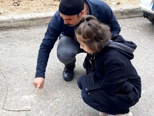 Adıyaman'da Tırtıl Sürüsünün Yolculuğu Dikkat Çekti