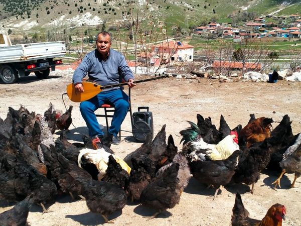 Afyonkarahisar'da ilginç olay! Tavuklarına konser veren adam