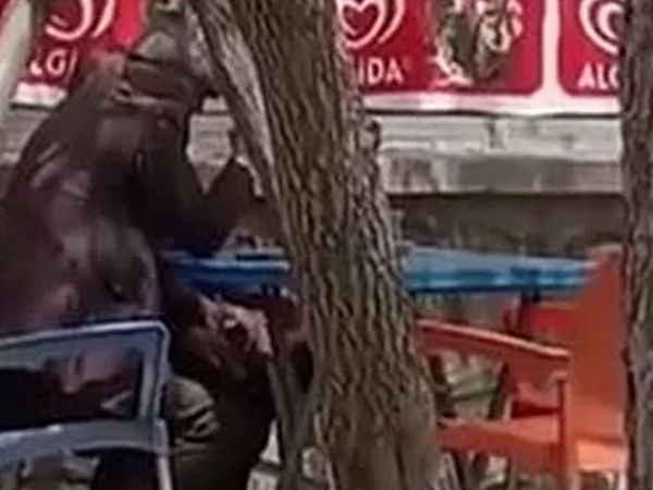 Ağrı'da iki dede birbirini tatmin etti