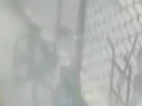 Köpeklerin Saldırısına Uğrayan Kadın Canını Zor Kurtardı