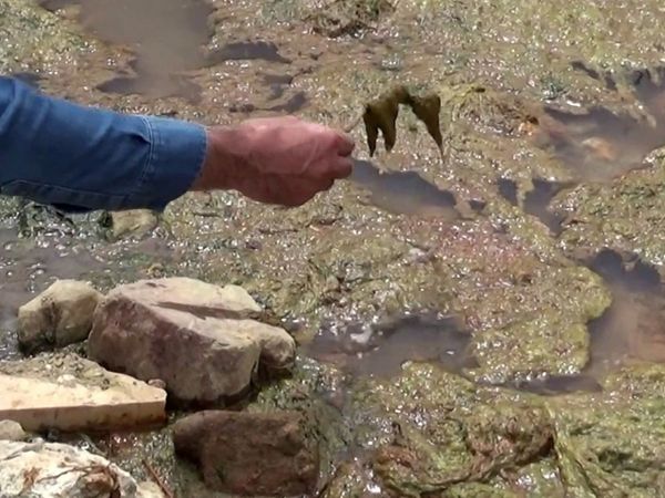 Alibeyköy Barajına Akan Kirli Dere Vatandaşın Sağlığını Kötü Etkiliyor