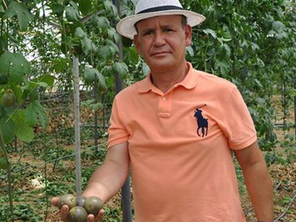 Almanya'da Türkiye'ye Passiflora Yetiştirmek İçin Döndü, Kilosunu 76 Liradan Satıyor