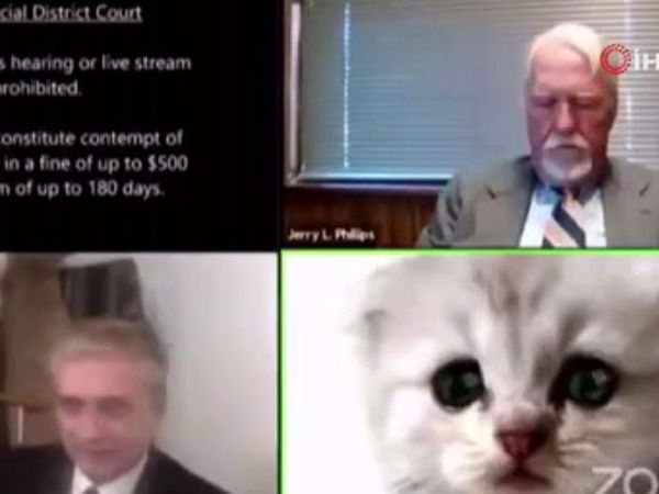 Amerika'da Online Duruşmada Filtre Kazası Viral Oldu