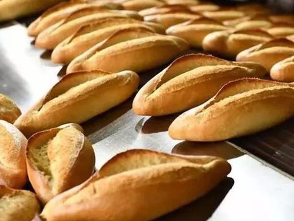 Antalya'da ekmeğin içinden fare çıktı!