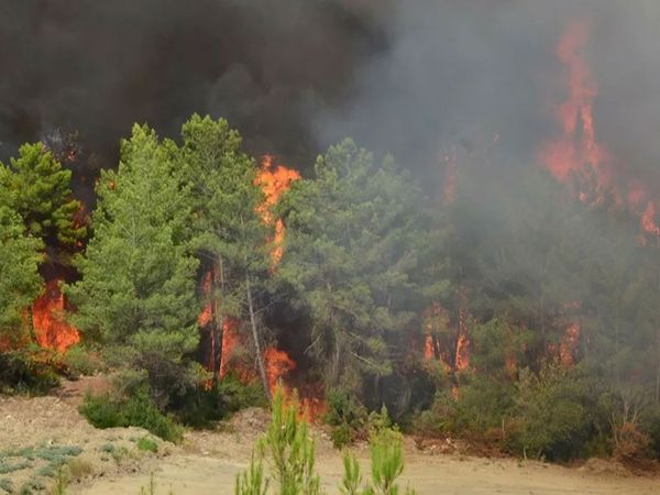 Antalya'da korkutan orman yangını