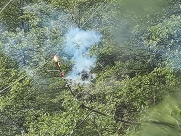 Artvin'de Kuvvetli Rüzgar Hayatı Olumsuz Etkiledi
