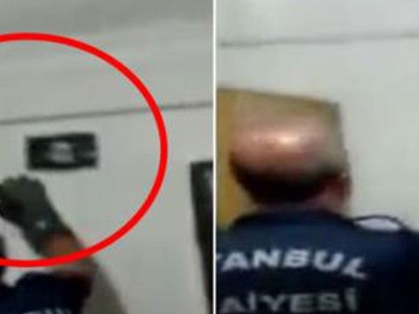 Avcılar'da Apartmana 1 Metre Boyunda Yılan Girdi
