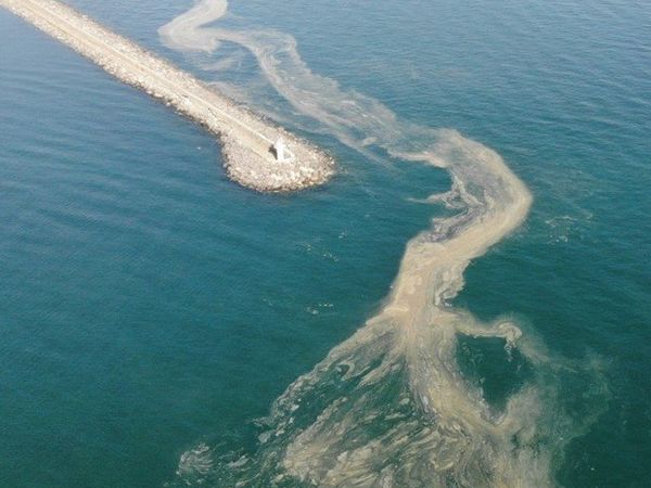 Bakan Kurum Marmara Denizi'ndeki Deniz Salyası İle İlgili Açıklama Yaptı!