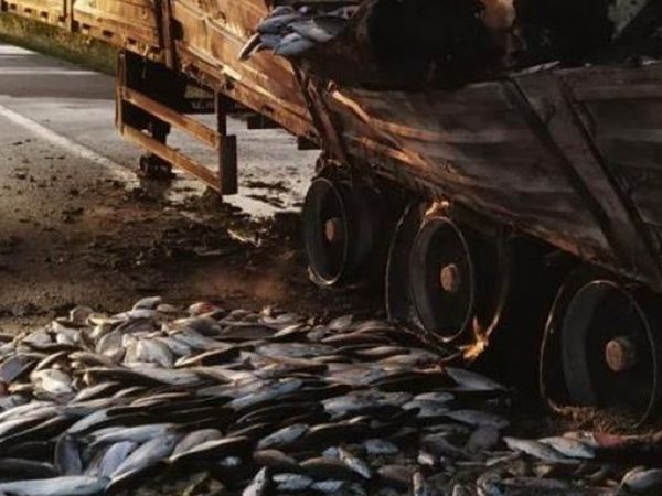 Balıklar Yola Saçıldı! Samsun'da Balık Yüklü Tır Alev Alev Yandı