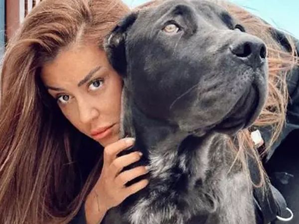 Banu Parlak'ın tasmasız köpeği yavru bir köpeği parçaladı! Görüntüler ifşa olunca kapısına dayanıp tehdit...