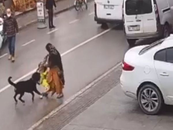 Başıboş bırakılan köpek kadının kucağından çocuğunu düşürdü... O anlar kameraya böyle yansıdı