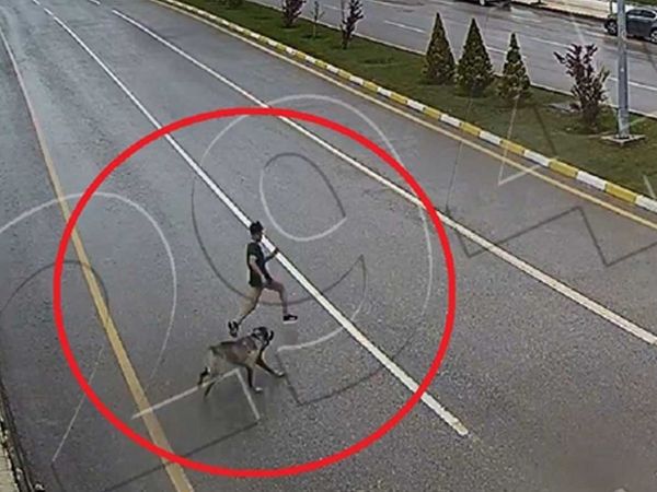 Başıboş köpek terörü! Çorumda köpektek kaçan çocuk ağır yaralanmıştı: O anlar kameralara yansıdı
