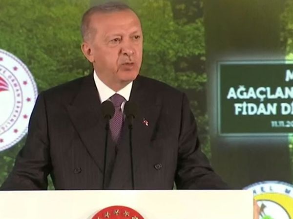 Başkan Erdoğan: 2023 Yılına Kadar 7 Milyar Fidan Dikilecek!