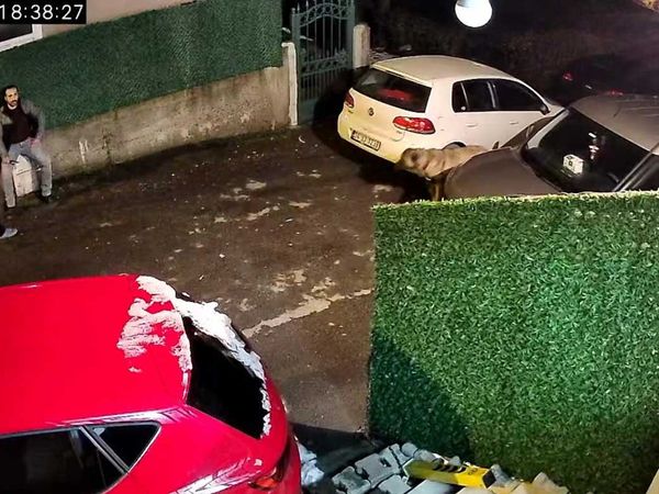 Beykoz'da akılalmaz olay: Arabayı neden buraya park ettin diyip komşusunu bıçakladı