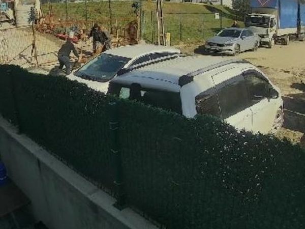 Bir Pitbull Saldırısı Daha: İstanbul'da Esnafın İş Yerinin Önünde Esnaf Köpeği Ağır Yaralandı!