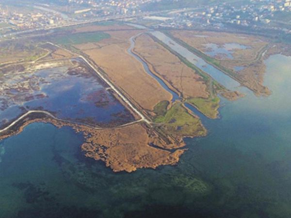 Böyle Yorum Görülmedi! Kanal İstanbul için ‘dünyada deniz taşımacılığı mı kaldı?’ dedi