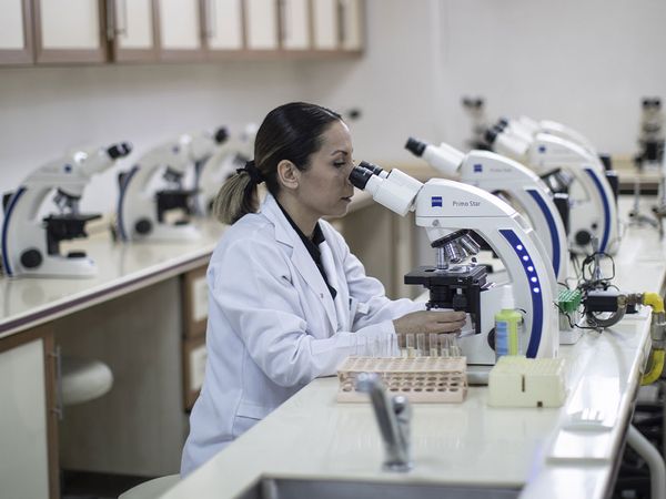 Bu ürünleri kullananlar dikkat: Probiyotik ve prebiyotiklerin bilinçsiz kullanımı hastalıkları tetikleyebiliyor!