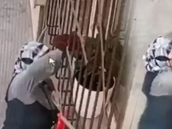Camın Önündeki Çiçeği Çalan Hırsız Kameralara Yakalandı