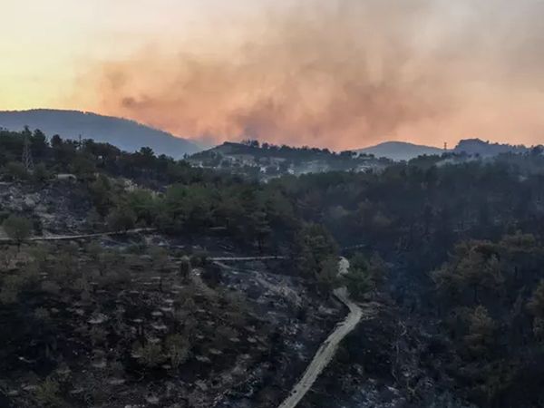 Çanakkale'deki orman yangınında son durum