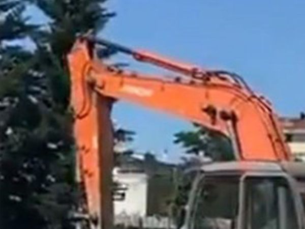 CHP’li İBB Ağaçları Kesiyor!