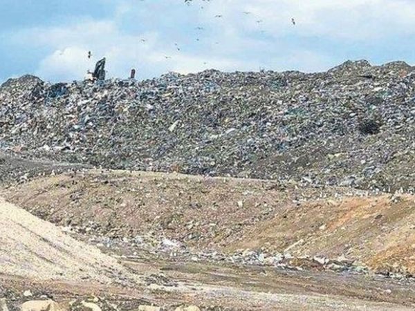 CHP'li İzmir Belediyesi'nden Skandal Olay, Heykel Yapacağınıza Çöpleri Toplayın!