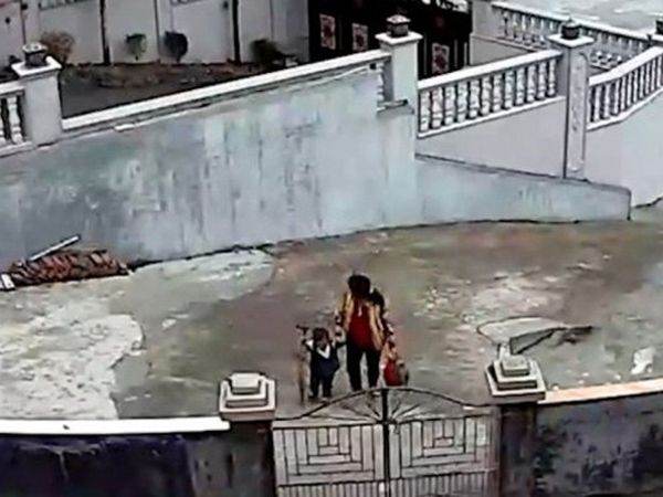 Çin'de Büyükanne ve Torunu Yıkılan Ağaçtan Son Anda Kurtuldu