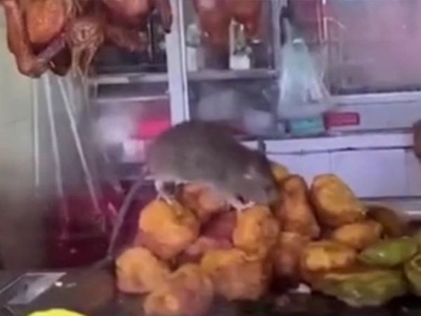 Çin'de Restoran Mutfağında Çekilen Farenin İlginç Görüntüleri!