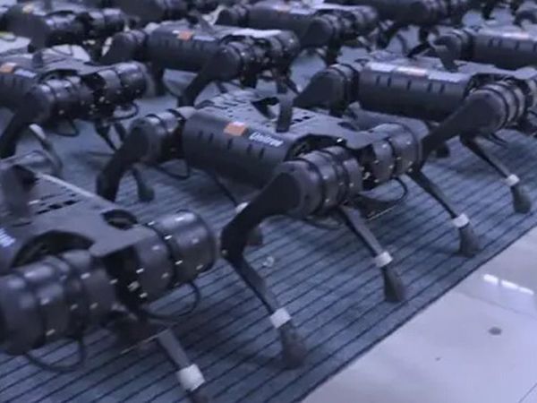 Çinli Firma Aliengo Adlı Köpek Robotlarını Tanıttı