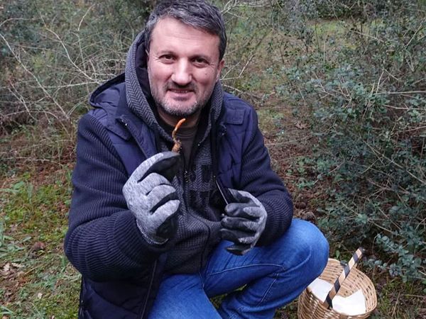 Dizilere konu olan zombi mantar sonunda İstanbul’da gözüktü