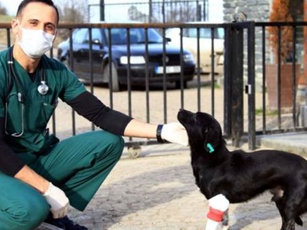 3 Boyutlu Yazıcı Mucizesi