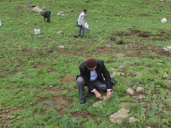Doğu ve Güneydoğu huzura kavuştu: Teröristlerden arındırılan dağlar, vatandaşların geçim kaynağı oldu!