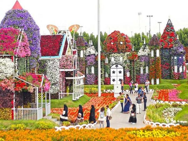 Dubai Miracle Garden: Çölün Ortasında Dünyanın En Büyük Çiçek Bahçesi