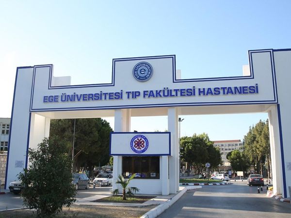 Ege Üniversitesi'nde skandal görüntü! Hastanedeki sokak köpeği sosyal medyada gündem oldu