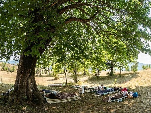 En Tembel Vatandaş Aranıyor