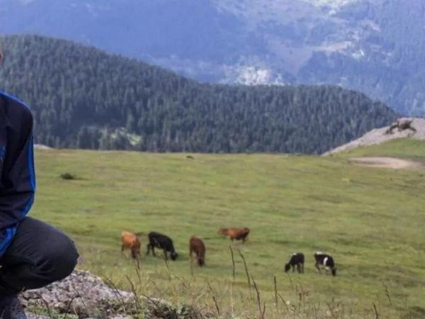 Eren Bülbül'ün Hayatı Film Oluyor: Kesişme: İyi ki Varsın Eren Ne Zaman Çıkacak?