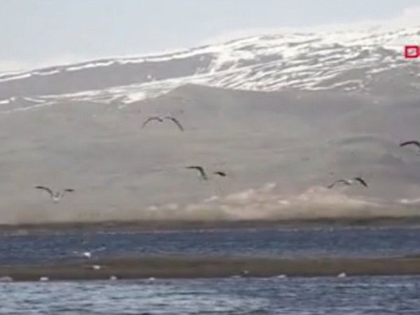 Erzurum’da Kuşlar İçin Binlerce Ekmeği Suya Bıraktılar