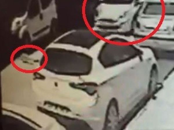 Eskişehir'de Kediyi Ezip Kaçan Sürücü İçin Kasıtlı Değil Kararı Çıktı