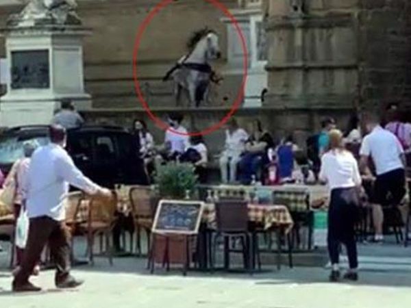 Görüntüler Bilindik Yerden! Kızgın At Ortalığı Birbirine Kattı