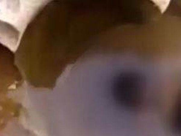 Hindistan'da Feci Ölüm