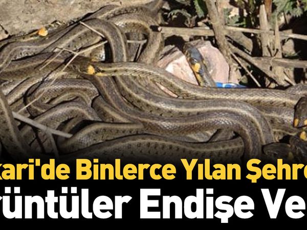Hakkari Yılan Pınarı