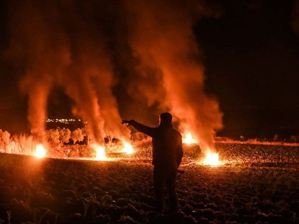 Hatay'da Çiftçiler Mahsullerini Dondan Korumak İçin Ateşle Nöbet Tuttular