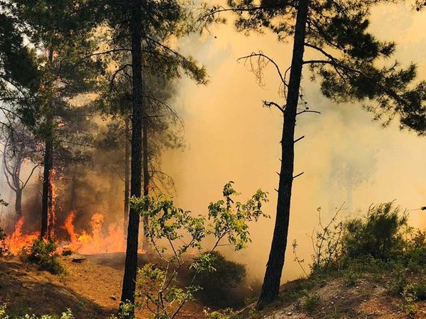 Hatay'da orman yangını çıktı: Ekipler seferber oldu