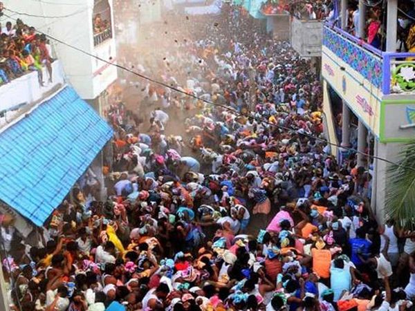 Hindistan'da İnek Gübresi Festivali