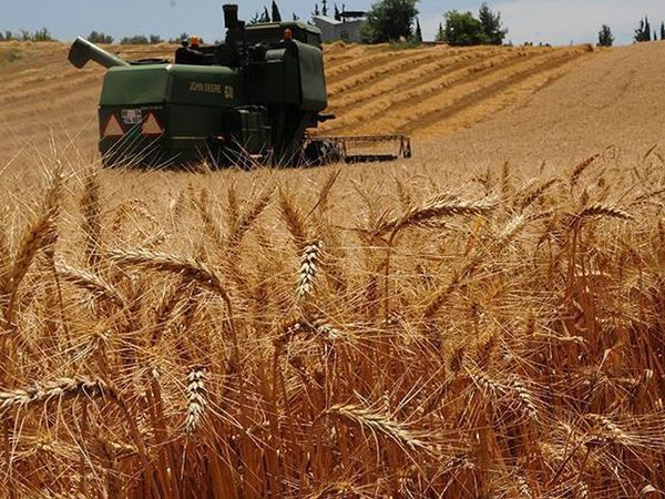 Hindistan'dan çağrı! Kotalar kaldırılsın, dünya doysun