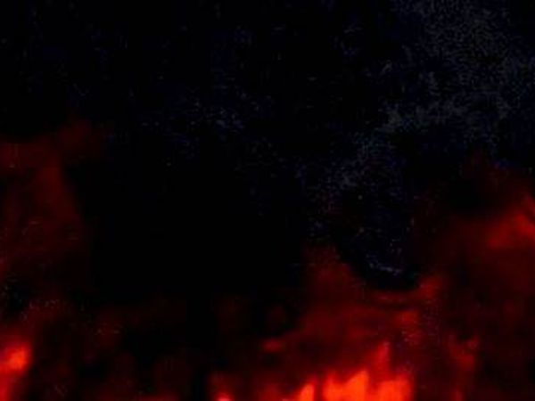 İçişleri Bakanlığı'ndan Narkotik Operasyonlar Paylaşımı