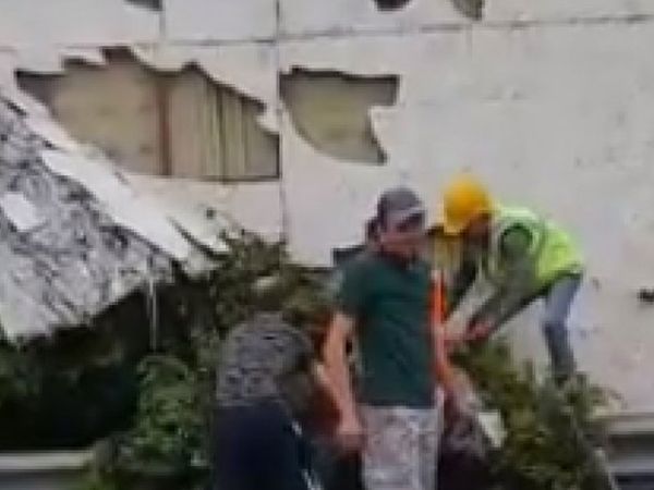 İBB, Zeytinburnu'ndaki Yeşillik Alanları Sökmeye Başladı