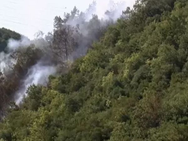 İstanbul Sarıyer'de Ormanlık Alanda Yangın