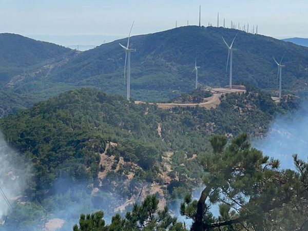 İzmir'de Ormanlık Alanda Yangın Çıktı
