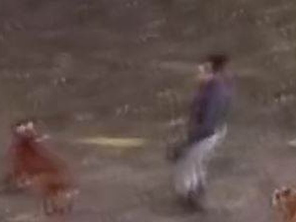 Köpeklere Eziyet Kameraya Yansıdı